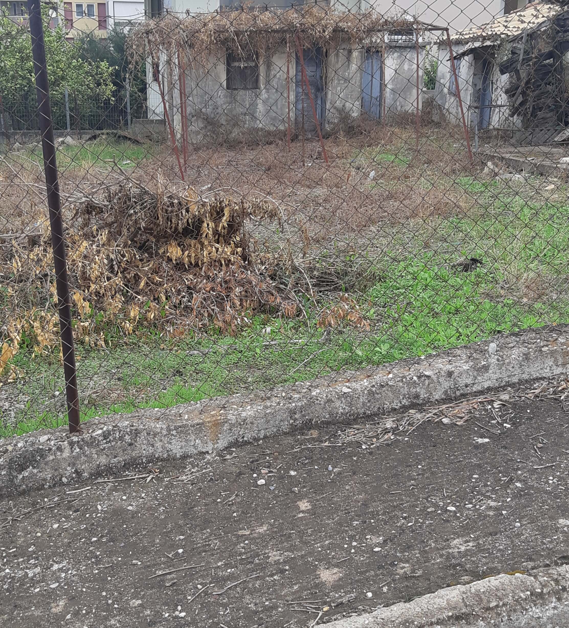 Οικόπεδο με κτίσμα  σε πλειστηριασμό Δήμος Τριφυλίας