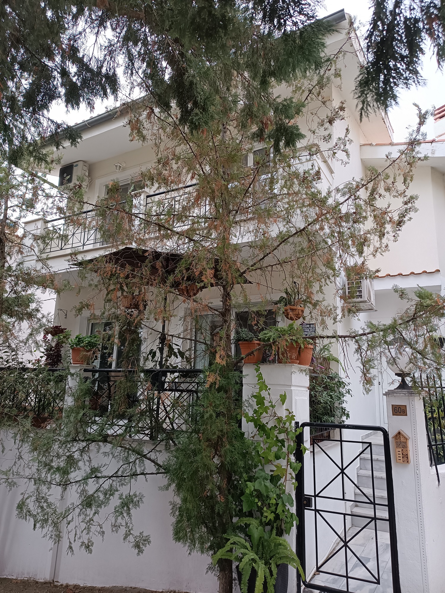 Κατοικία  σε πλειστηριασμό Δήμος Καβάλας