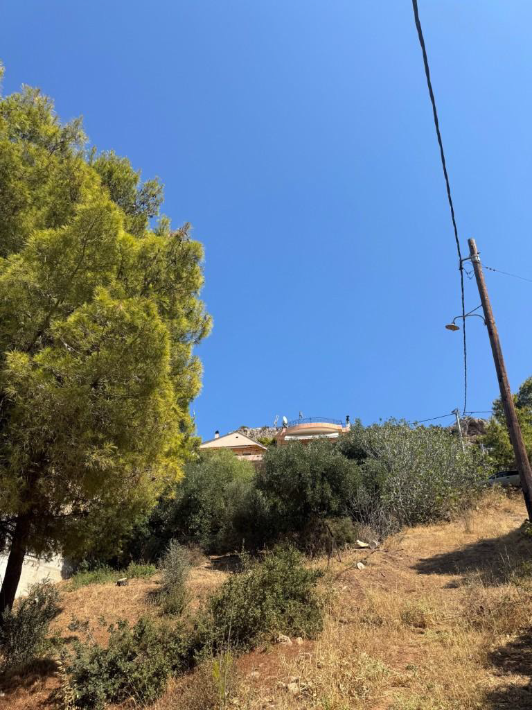 Οικόπεδο  σε πλειστηριασμό Municipality of Markopoulos Mesogaia