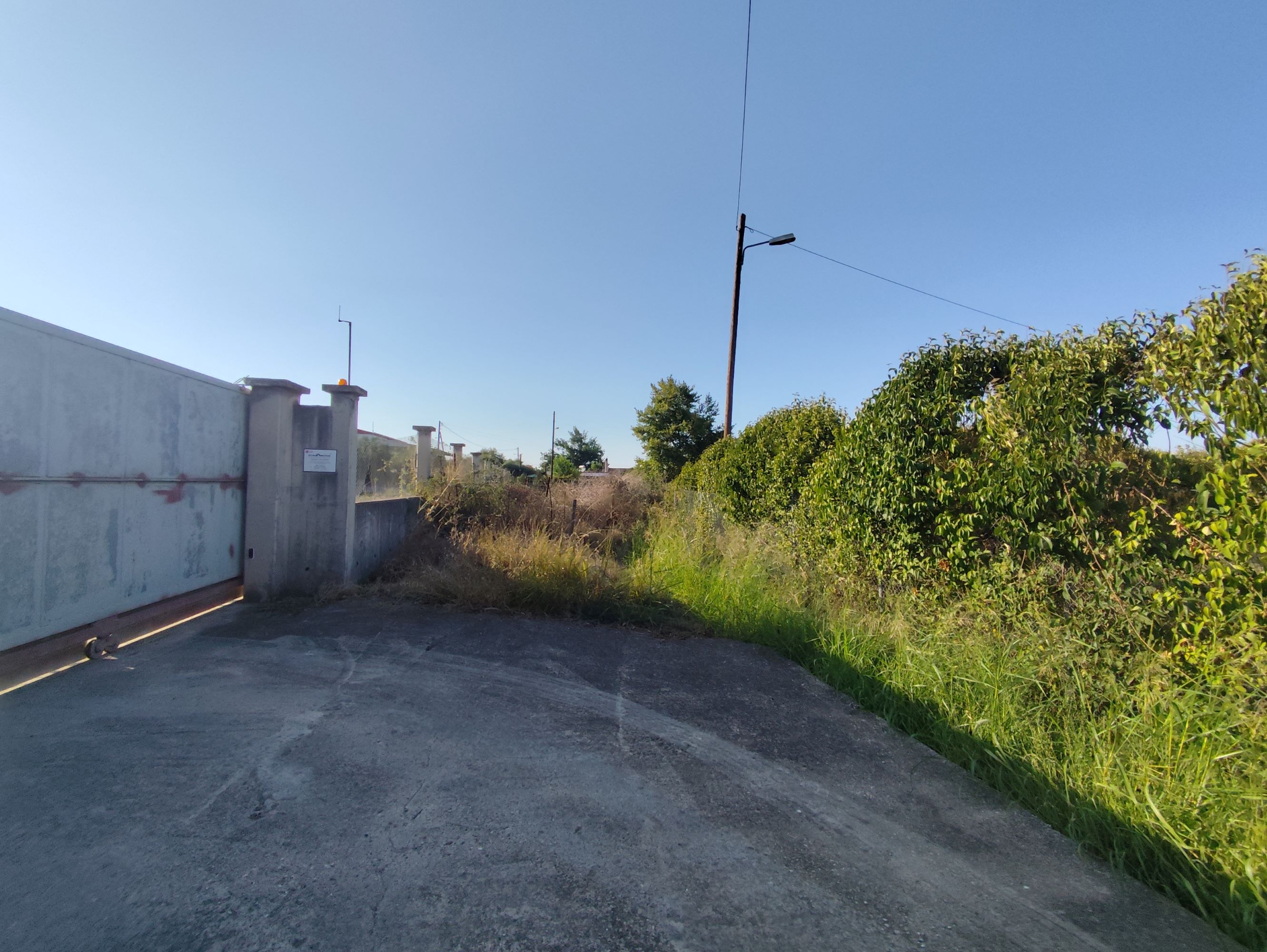 Αγροτεμάχιο  σε πλειστηριασμό Municipality of Pyrgos