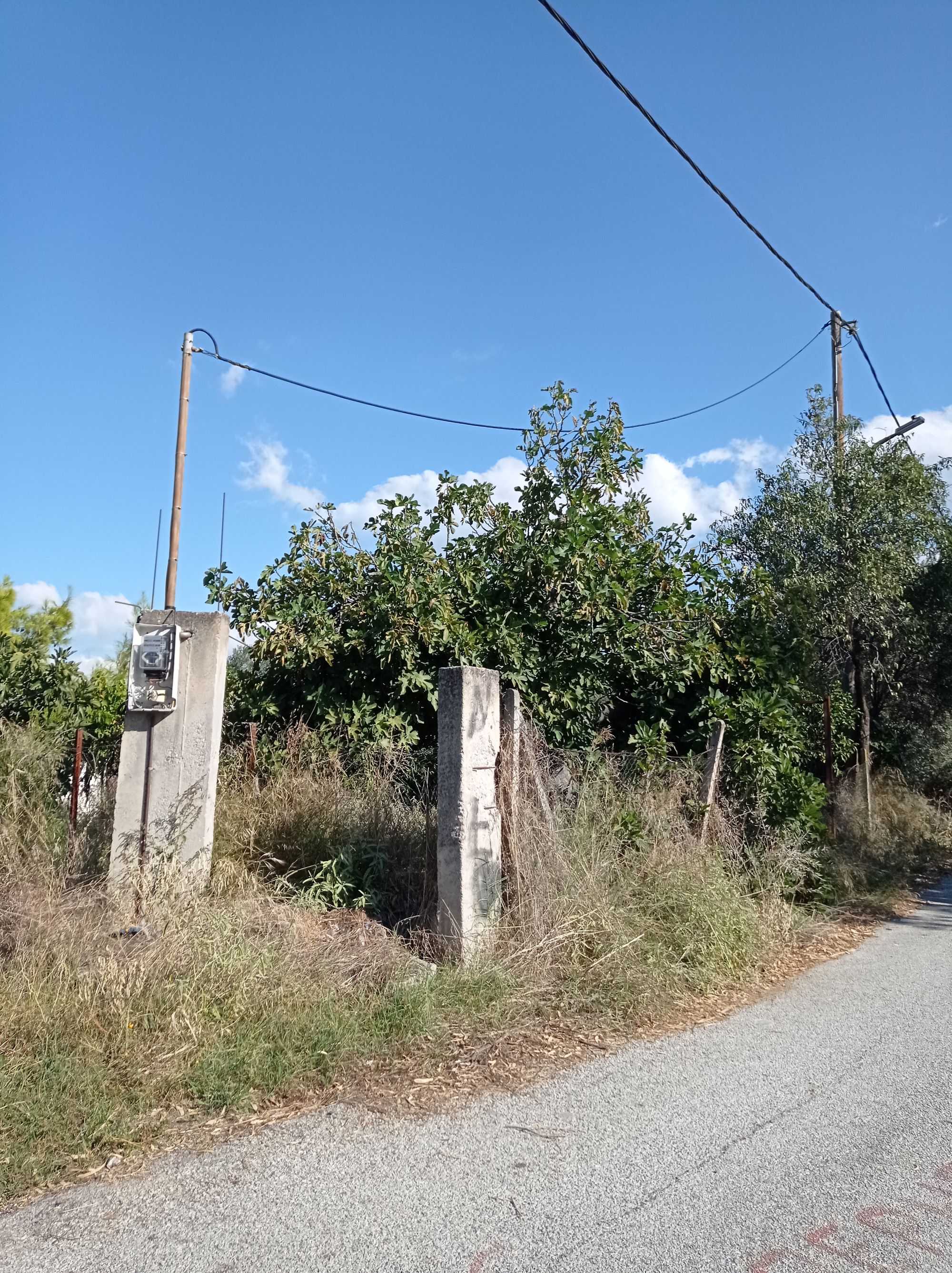 Αγροτεμάχιο  σε πλειστηριασμό Δήμος Βόλου