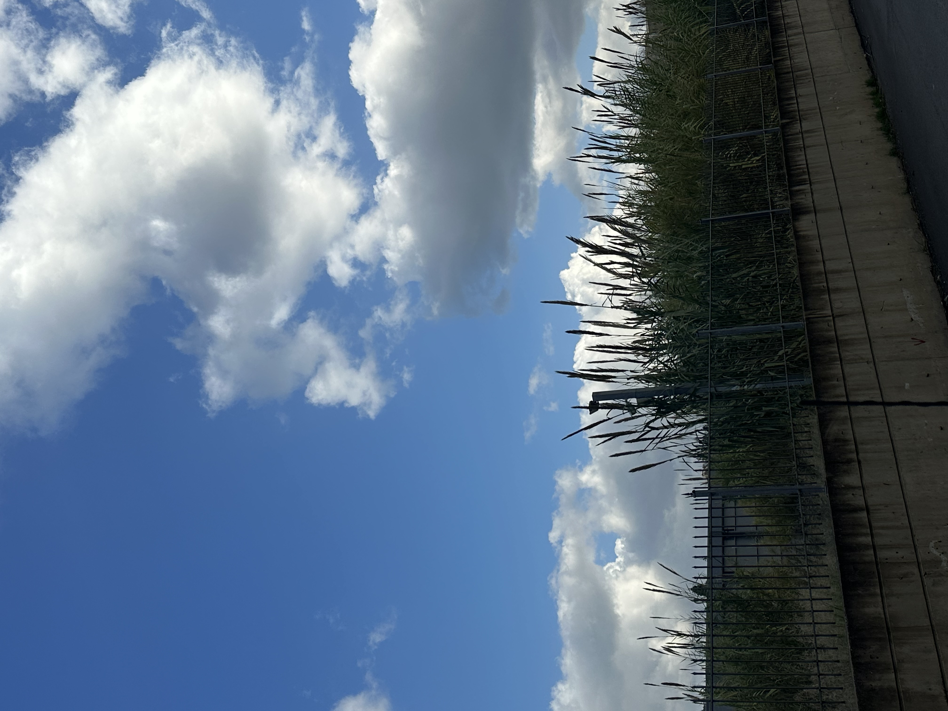 Αγροτεμάχιο  σε πλειστηριασμό Δήμος Χανίων