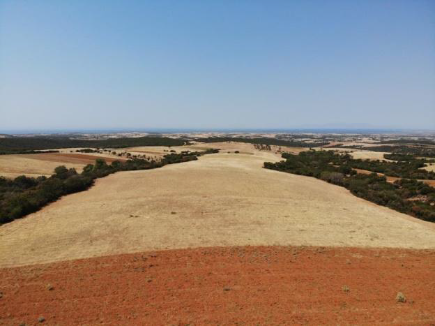 Αγροτεμάχιο 79.10 sq.m. σε πλειστηριασμό Municipality of Maroneia - Sapon