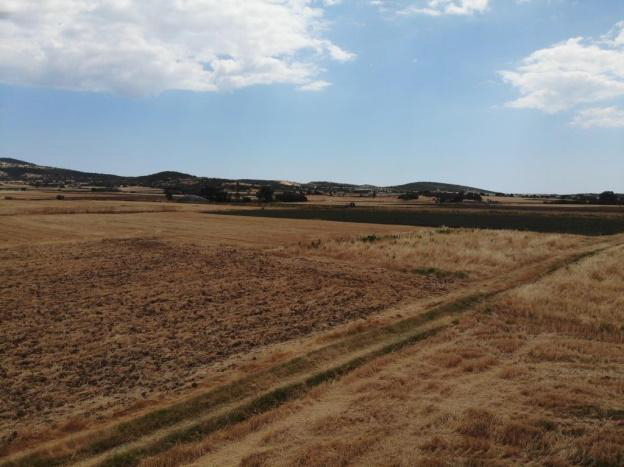 Αγροτεμάχιο 79.10 sq.m. σε πλειστηριασμό Municipality of Maroneia - Sapon