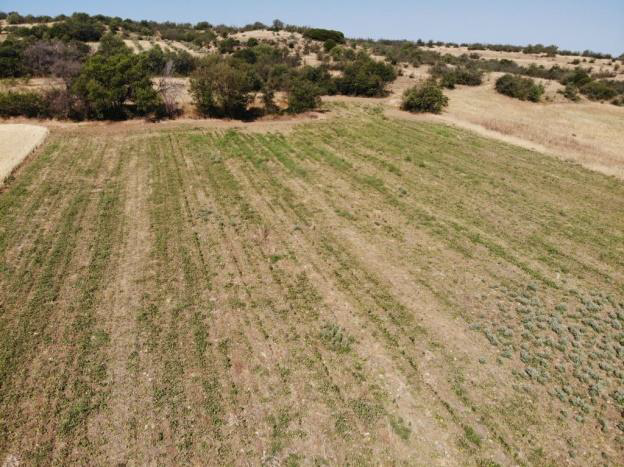 Αγροτεμάχιο 79.10 τ.μ. σε πλειστηριασμό Δήμος Μαρωνείας - Σαπών