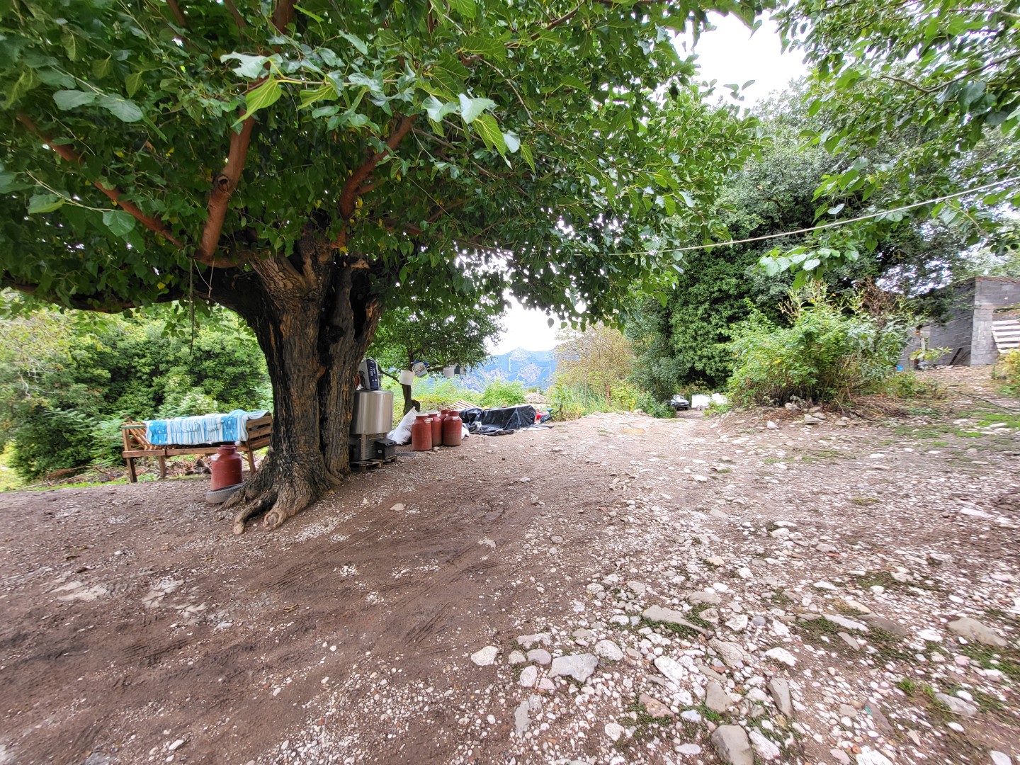 Οικόπεδο  σε πλειστηριασμό Municipality of Kalavryta