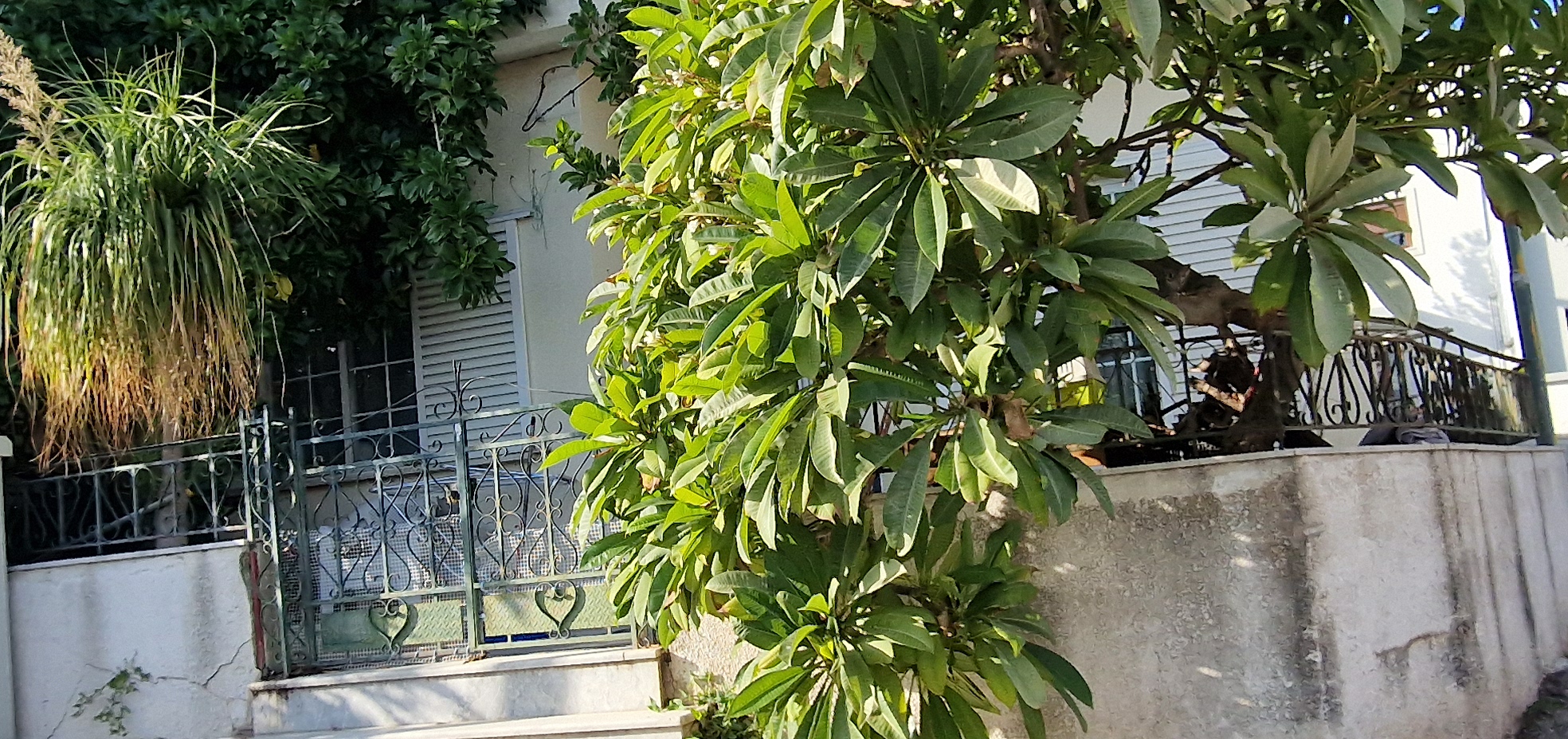 Οικόπεδο με κτίσμα  σε πλειστηριασμό Municipality of Rhodes