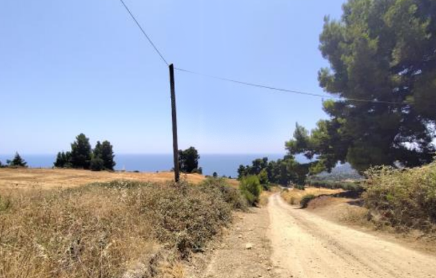 Αγροτεμάχιο 4760 τ.μ. σε πλειστηριασμό Δήμος Κασσάνδρας