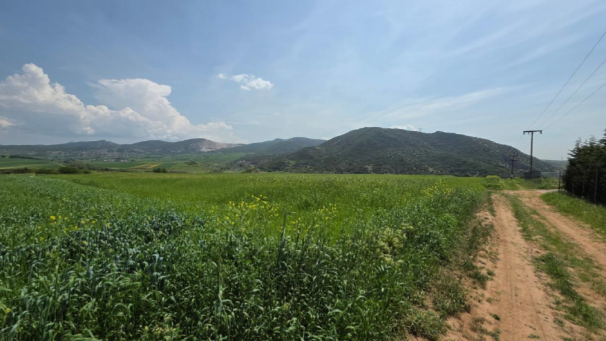 Αγροτεμάχιο  σε πλειστηριασμό Δήμος Ωραιοκάστρου