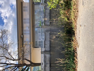 Κατοικία 97.10 τ.μ. σε πλειστηριασμό Δήμος Ωραιοκάστρου