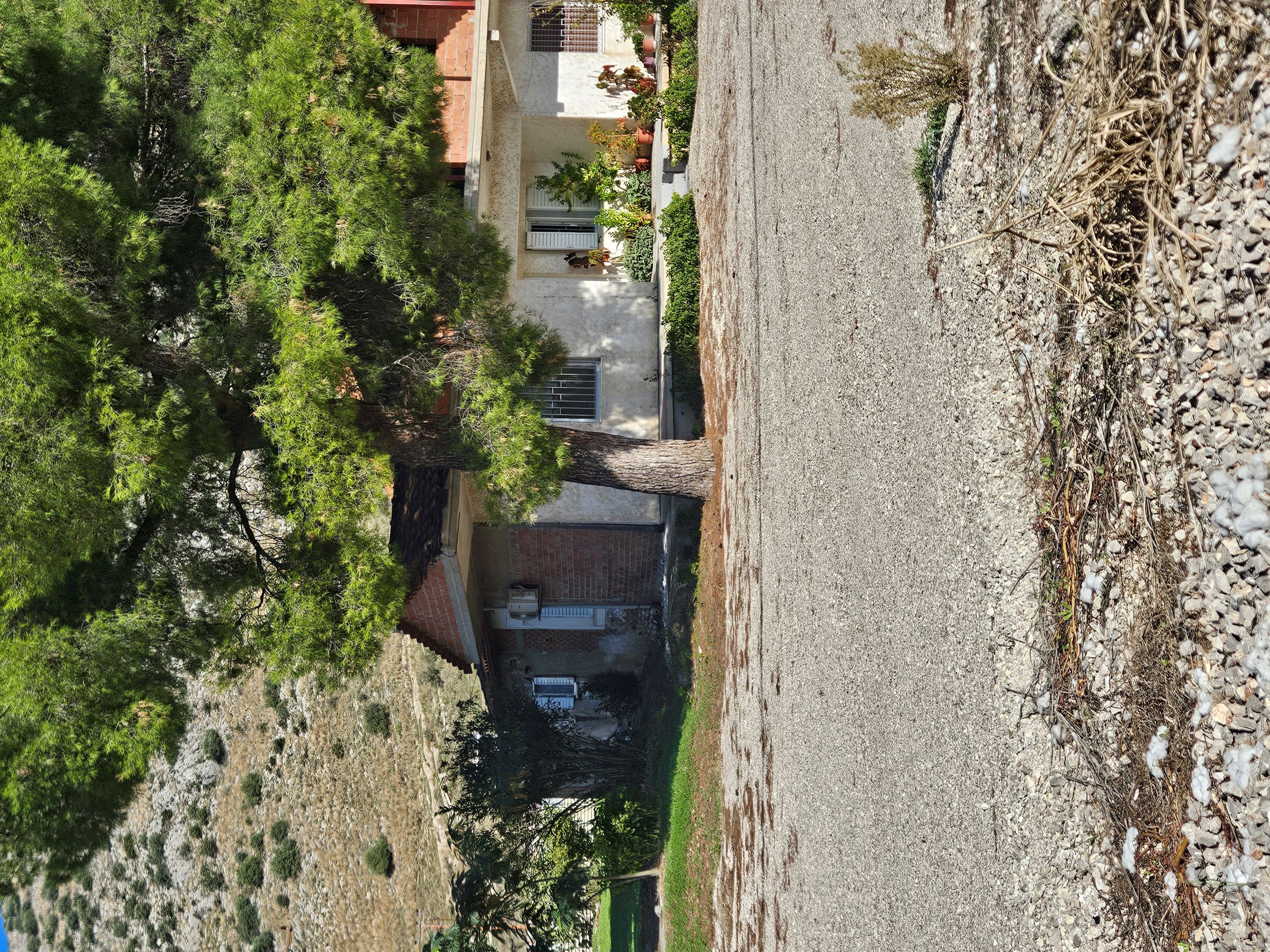 Αγροτεμάχιο με κτίσμα  σε πλειστηριασμό Δήμος Λεβαδέων