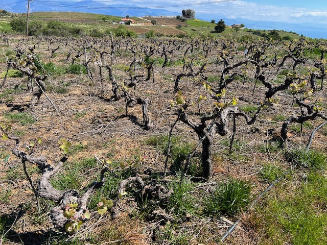 Οικόπεδο  σε πλειστηριασμό Municipality of Aegialia