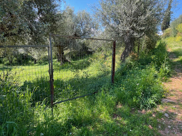 Οικόπεδο  σε πλειστηριασμό Municipality of Aegialia