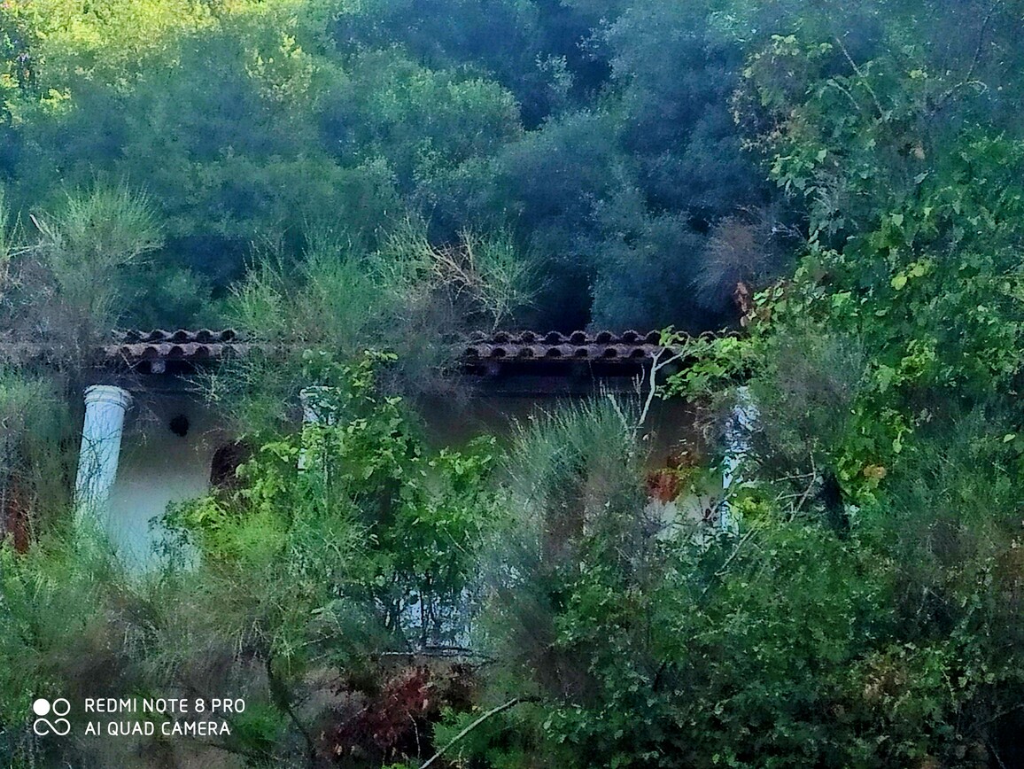 Οικόπεδο με κτίσμα  σε πλειστηριασμό Δήμος Κέρκυρας