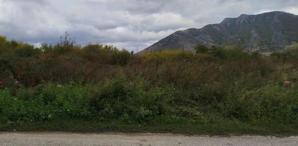 Οικόπεδο 81.08 sq.m. σε πλειστηριασμό Municipality of Kastoria