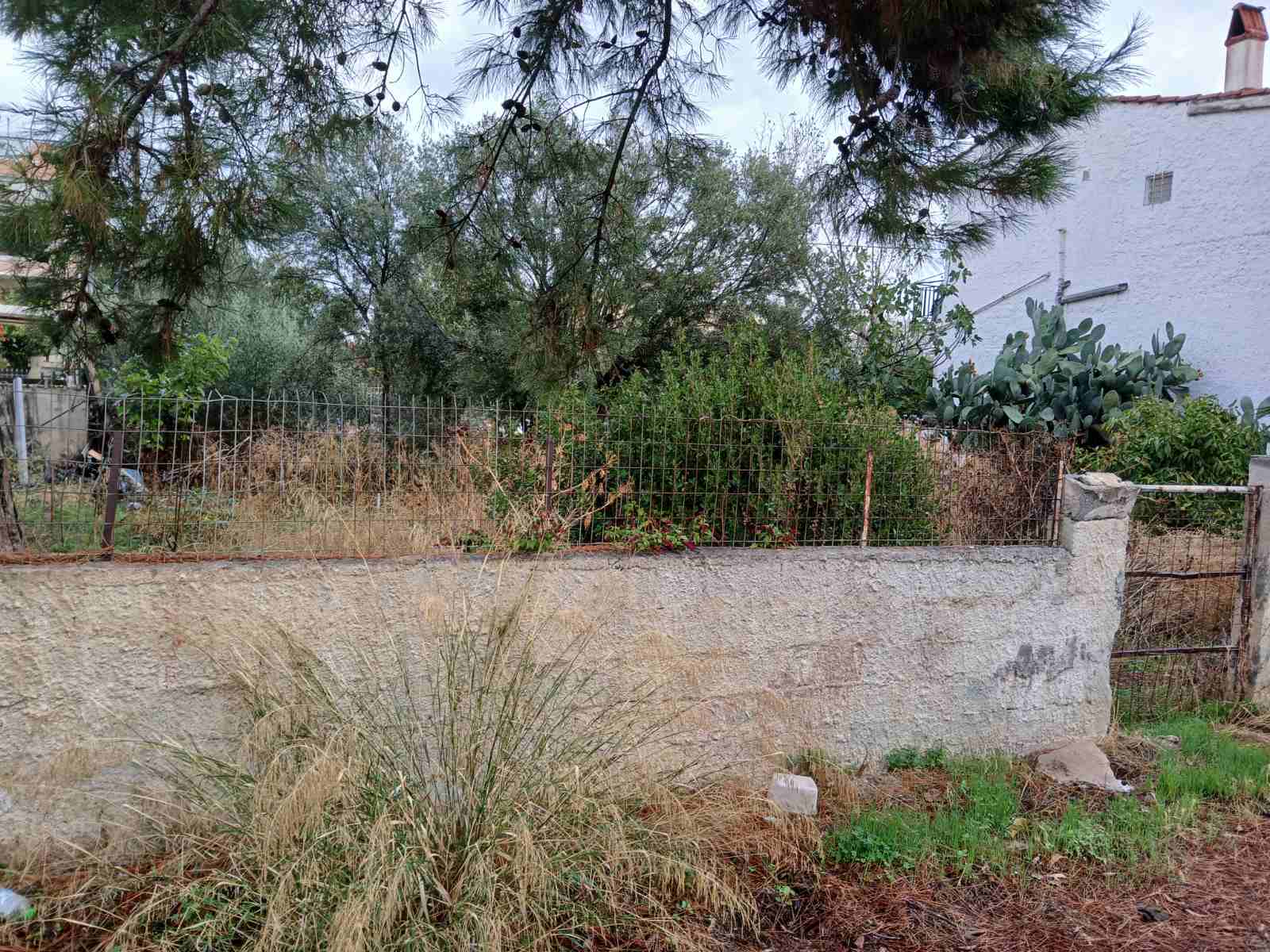 Οικόπεδο  σε πλειστηριασμό Δήμος Σπάτων - Αρτέμιδος