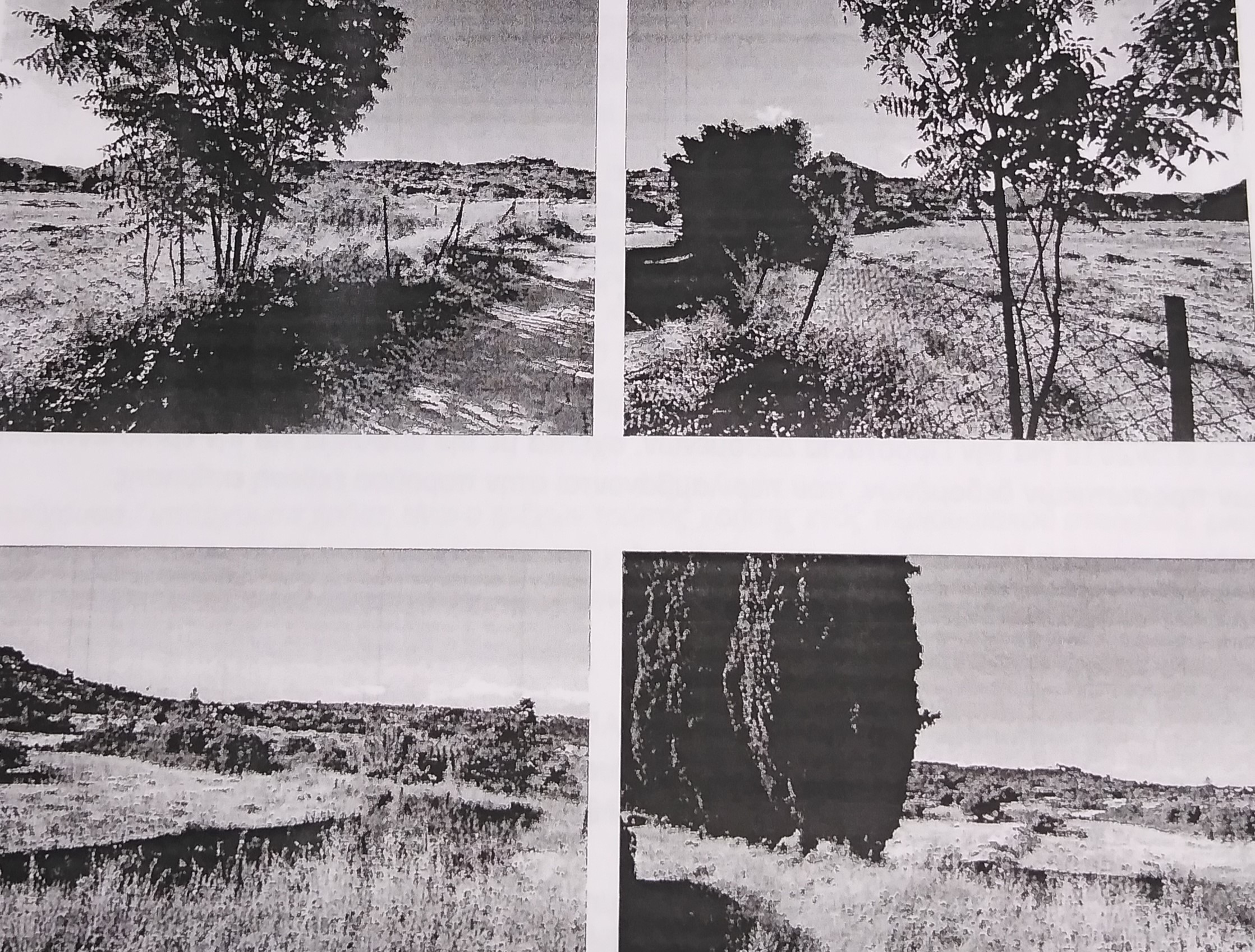 Αγροτεμάχιο 9026.59 τ.μ. σε πλειστηριασμό Δήμος Χαλκιδέων