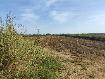 Αγροτεμάχιο με κτίσμα 24792.99 τ.μ. σε πλειστηριασμό Δήμος Ήλιδας