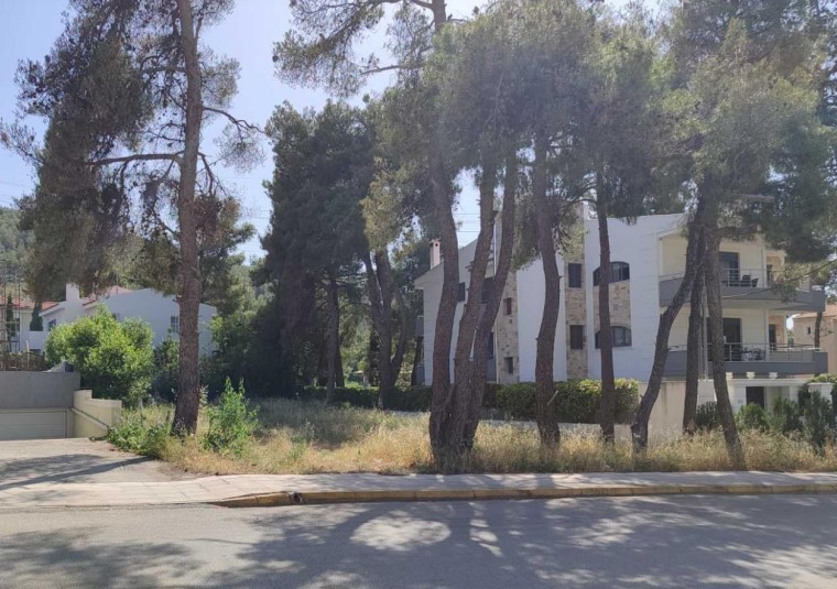 Οικόπεδο  σε πλειστηριασμό Δήμος Διονύσου