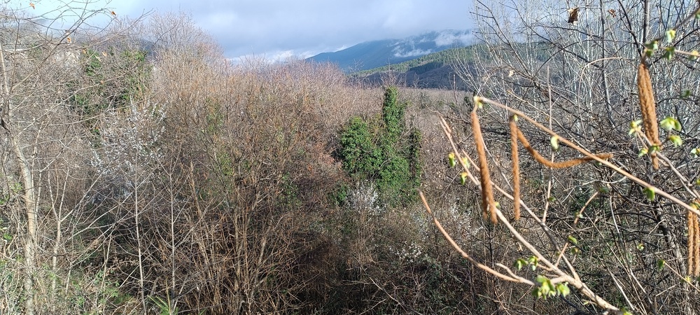 Οικόπεδο  σε πλειστηριασμό Δήμος Ζαγορίου