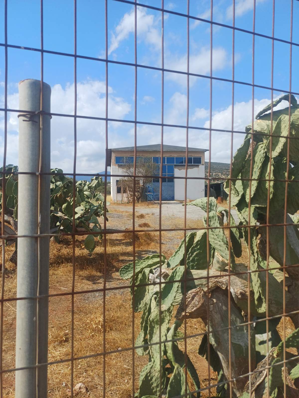 Αγροτεμάχιο με κτίσμα  σε πλειστηριασμό Δήμος Σαρωνικού