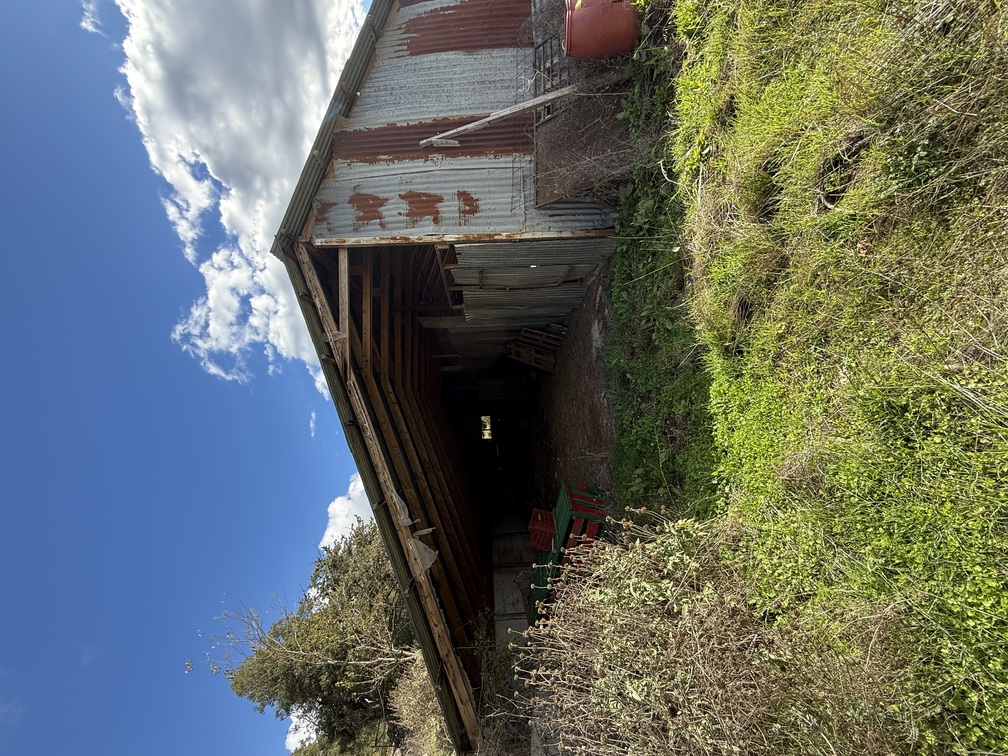 Αγροτεμάχιο  σε πλειστηριασμό Municipality of Zitsa