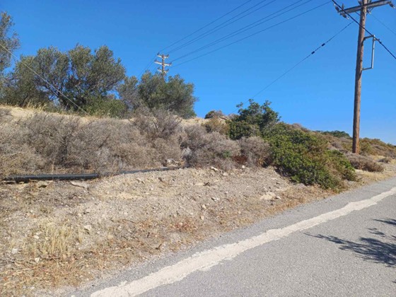 Αγροτεμάχιο  σε πλειστηριασμό Δήμος Σητείας