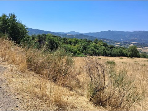 Αγροτεμάχιο  σε πλειστηριασμό Δήμος Καμένων Βούρλων