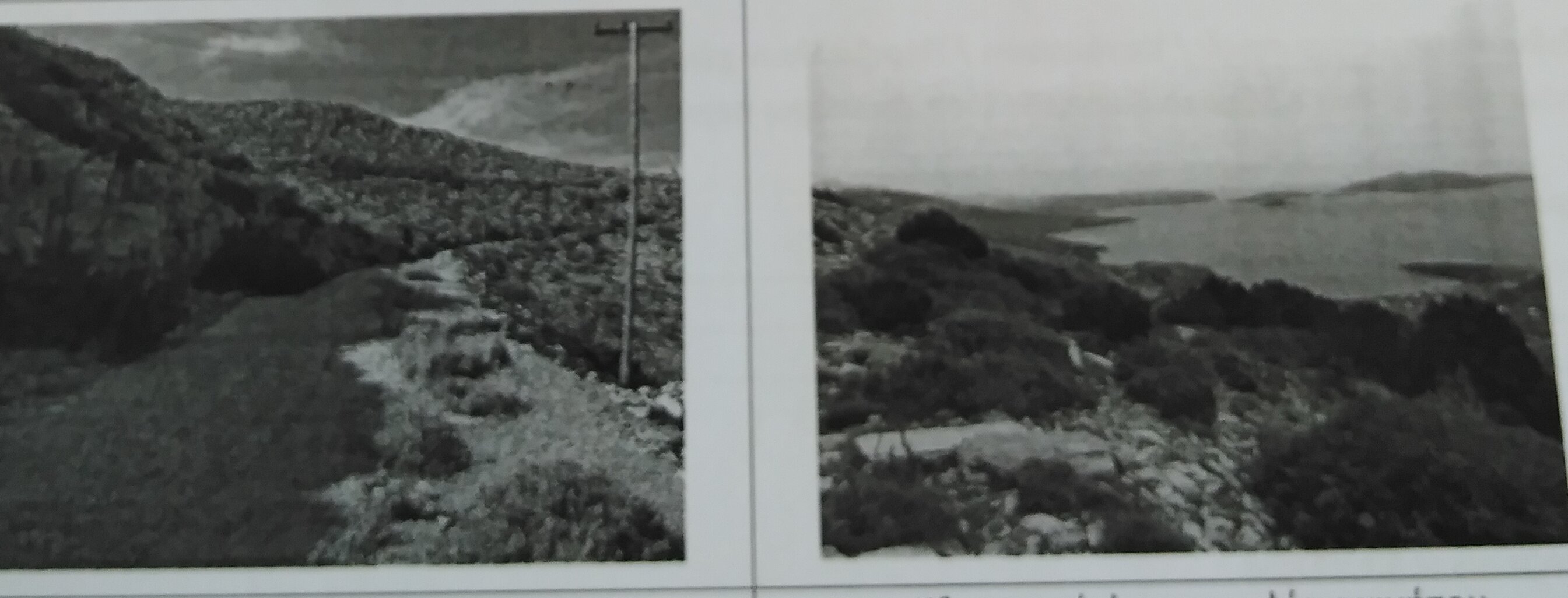 Οικόπεδο 820.34 τ.μ. σε πλειστηριασμό Δήμος Καρύστου