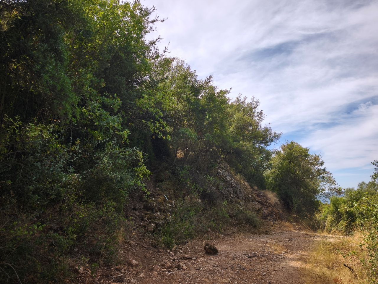 Οικόπεδο 856 τ.μ. σε πλειστηριασμό Δήμος Γόρτυνος