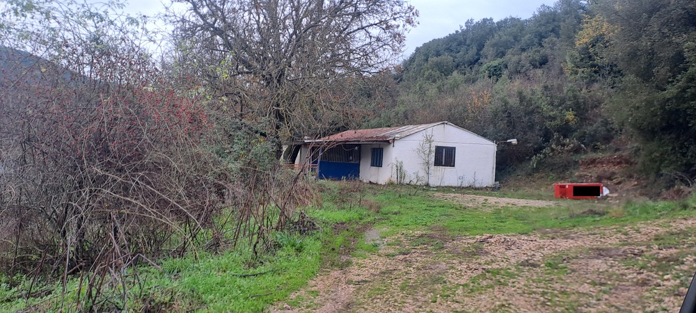 Αγροτεμάχιο με κτίσμα  σε πλειστηριασμό Municipality of Zagori