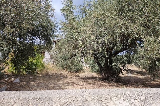 Κατοικία  σε πλειστηριασμό Δήμος Στυλίδος