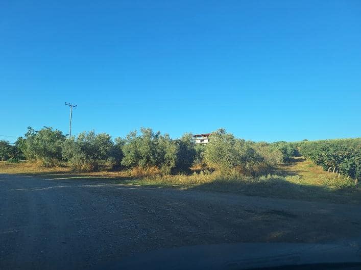 Αγροτεμάχιο 4619 τ.μ. σε πλειστηριασμό Δήμος Πύδνας - Κολινδρού