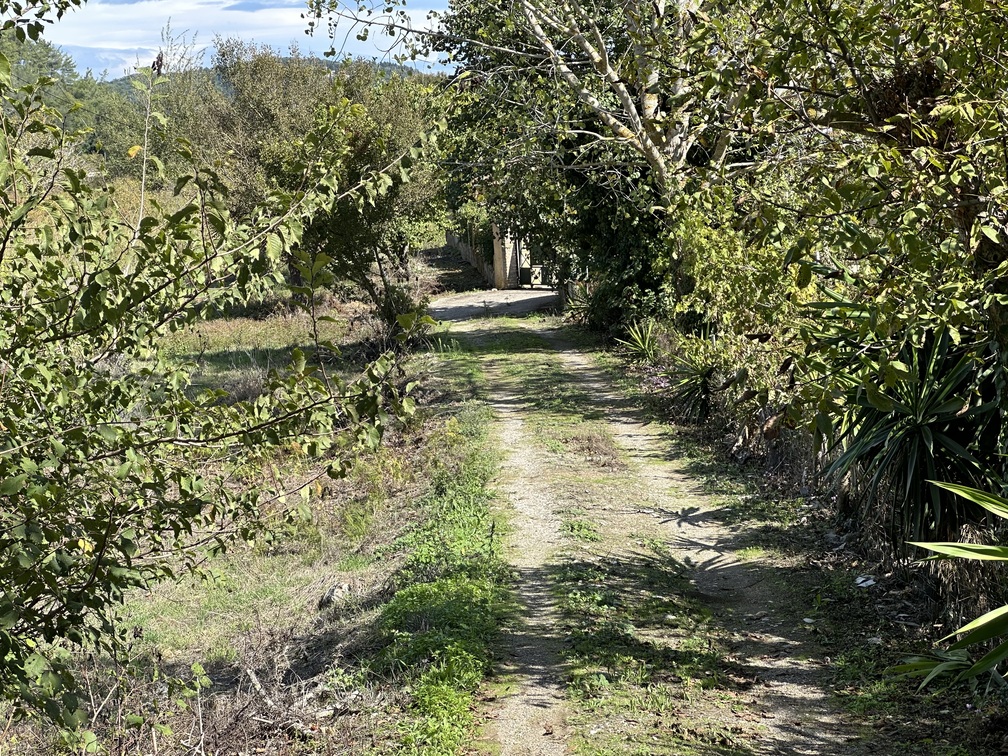 Κατοικία  σε πλειστηριασμό Δήμος Κέρκυρας