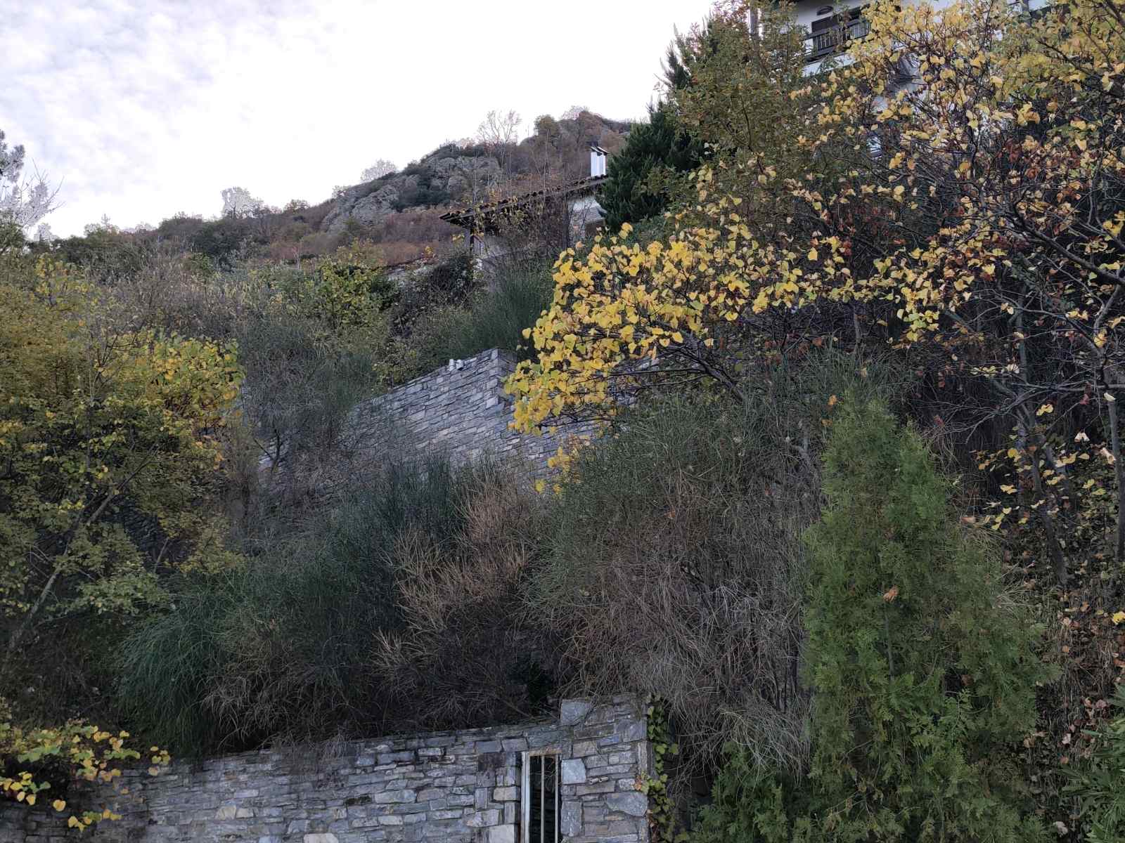 Αγροτεμάχιο με κτίσμα  σε πλειστηριασμό Municipality of Tempo