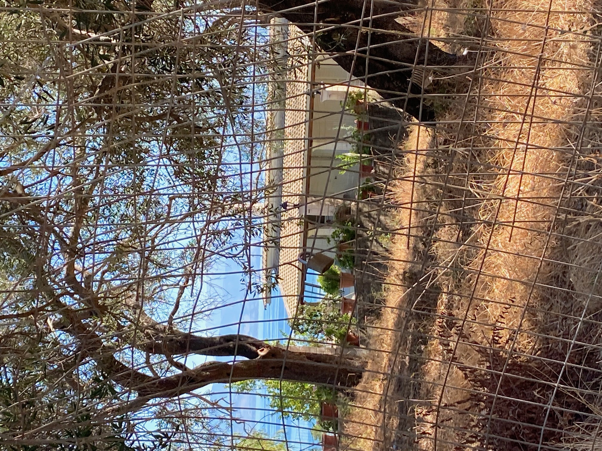 Αγροτεμάχιο με κτίσμα  σε πλειστηριασμό Δήμος Κέρκυρας