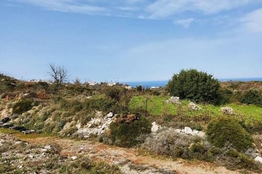 Οικόπεδο  σε πλειστηριασμό Municipality of Mylopotamos