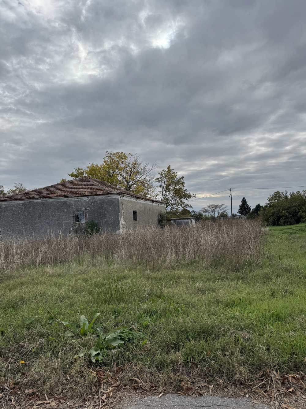Οικόπεδο με κτίσμα  σε πλειστηριασμό Δήμος Πέλλας