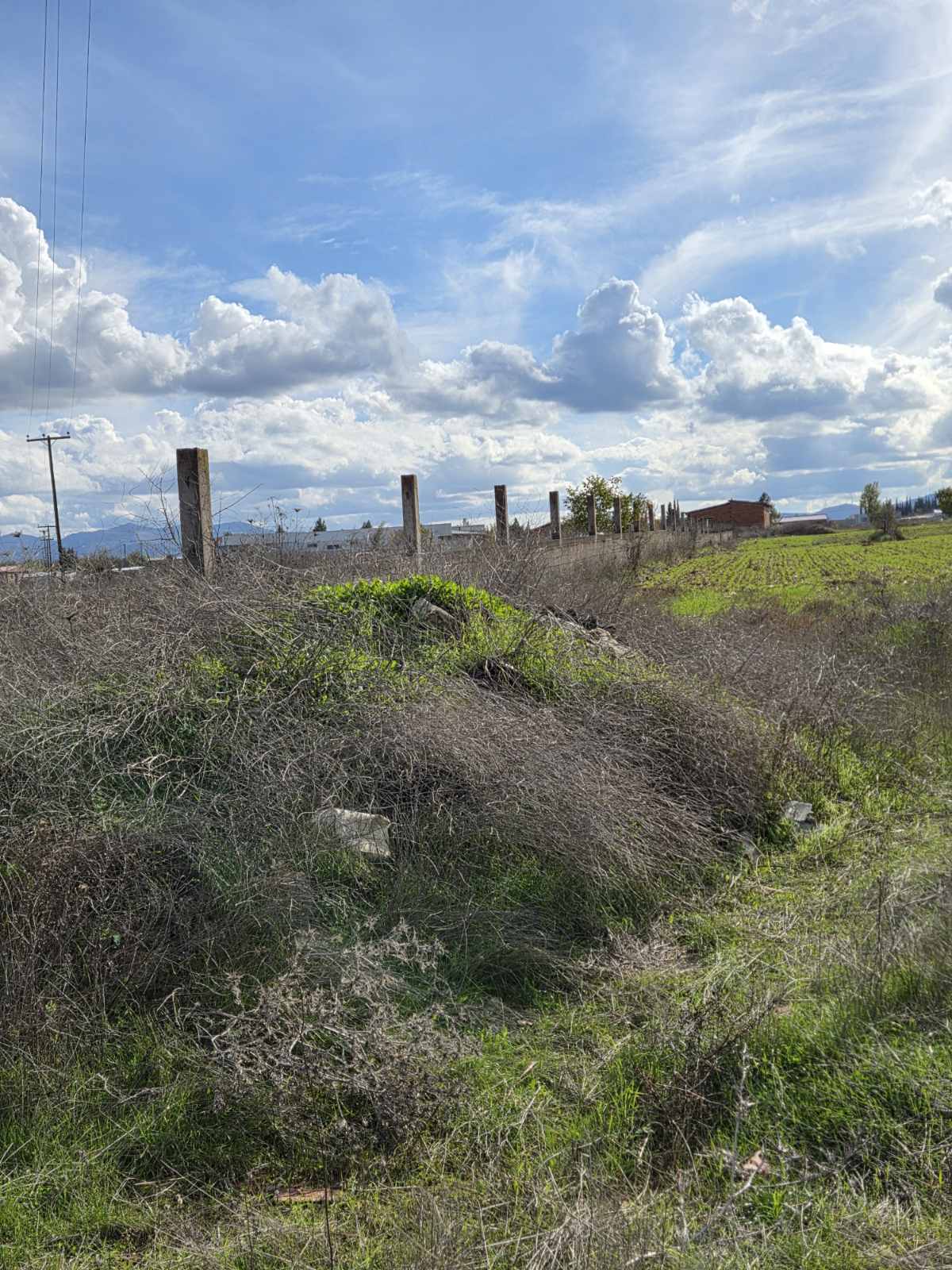 Αγροτεμάχιο με κτίσμα  σε πλειστηριασμό Δήμος Τρίπολης