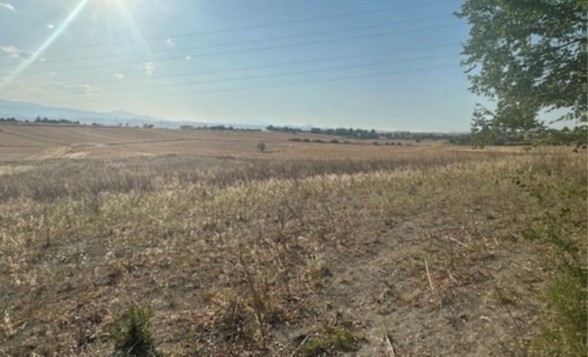 Αγροτεμάχιο  σε πλειστηριασμό Δήμος Κοζάνης