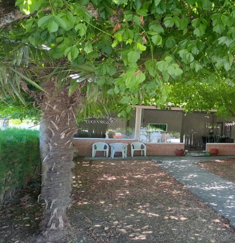 Οικόπεδο με κτίσμα  σε πλειστηριασμό Δήμος Φαρκαδόνας