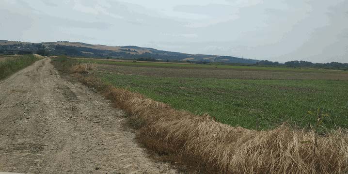 Αγροτεμάχιο  σε πλειστηριασμό Δήμος Πύδνας - Κολινδρού