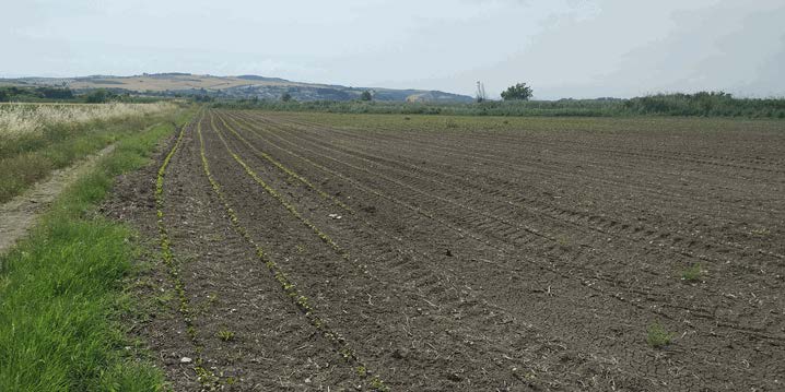Αγροτεμάχιο  σε πλειστηριασμό Δήμος Πύδνας - Κολινδρού