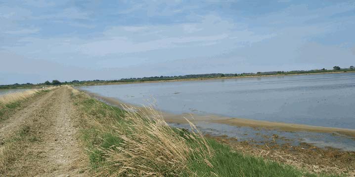 Αγροτεμάχιο  σε πλειστηριασμό Δήμος Πύδνας - Κολινδρού