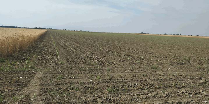 Αγροτεμάχιο  σε πλειστηριασμό Δήμος Πύδνας - Κολινδρού