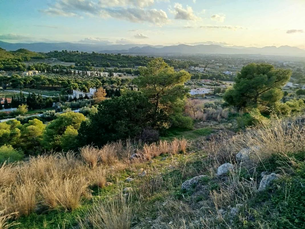 Αγροτεμάχιο  σε πλειστηριασμό Δήμος Λουτρακίου - Περαχώρας - Αγ. Θεοδώρων