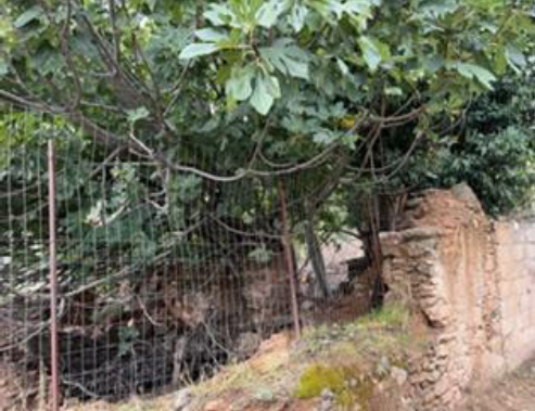 Οικόπεδο με κτίσμα  σε πλειστηριασμό Municipality of Lesvos