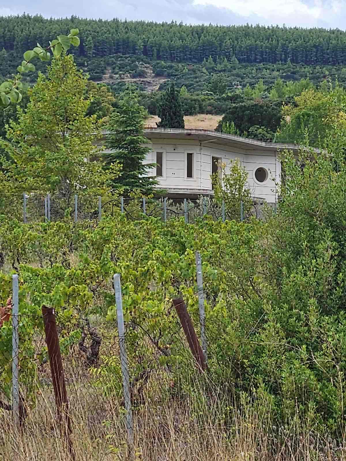 Αγροτεμάχιο με κτίσμα  σε πλειστηριασμό Δήμος Λεβαδέων