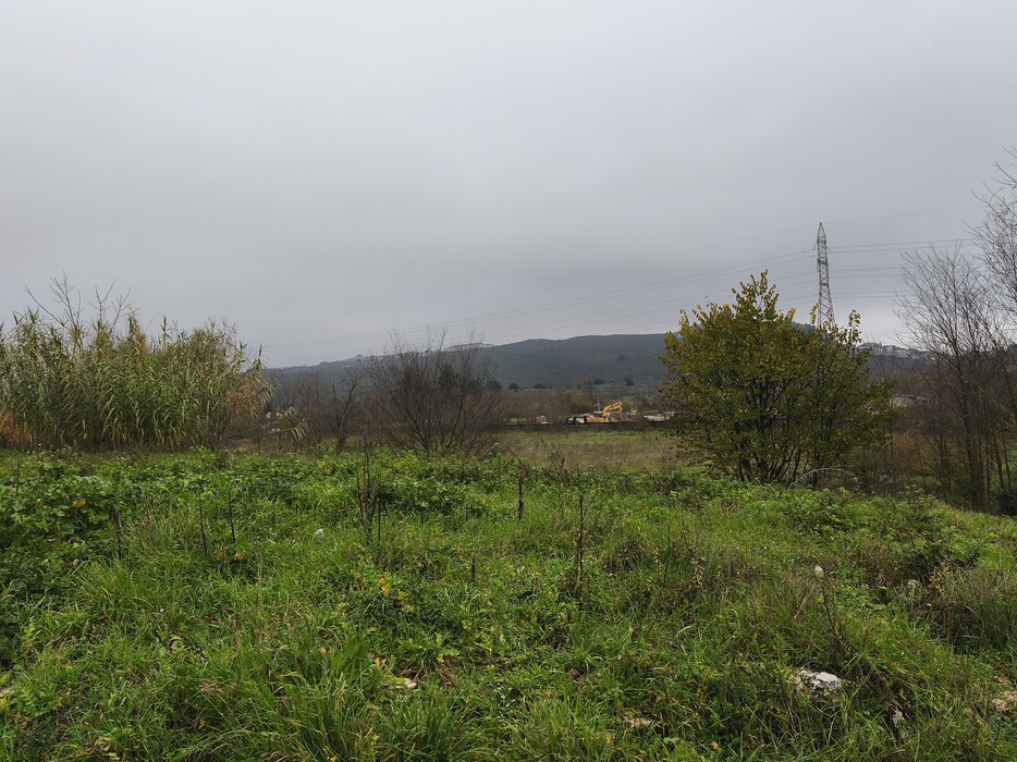 Αγροτεμάχιο  σε πλειστηριασμό Δήμος Ιωαννιτών