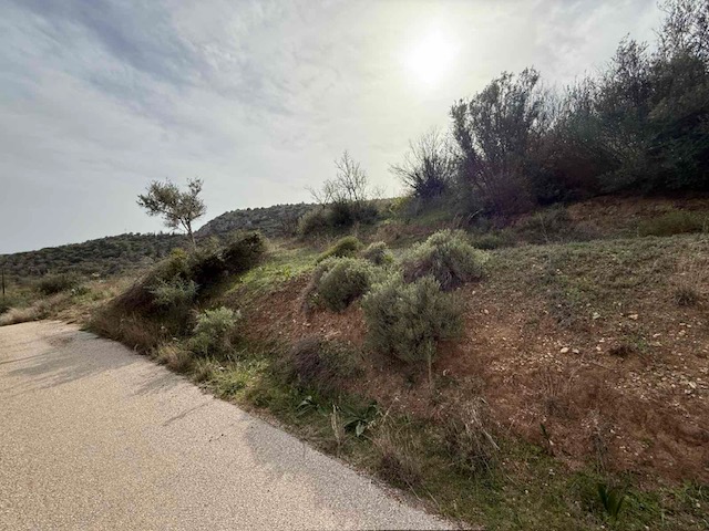 Αγροτεμάχιο  σε πλειστηριασμό Δήμος Ναυπλιέων